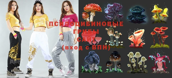 экстази Белокуриха