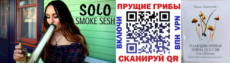 Псилоцибиновые грибы Cubensis  где купить   Бородино 